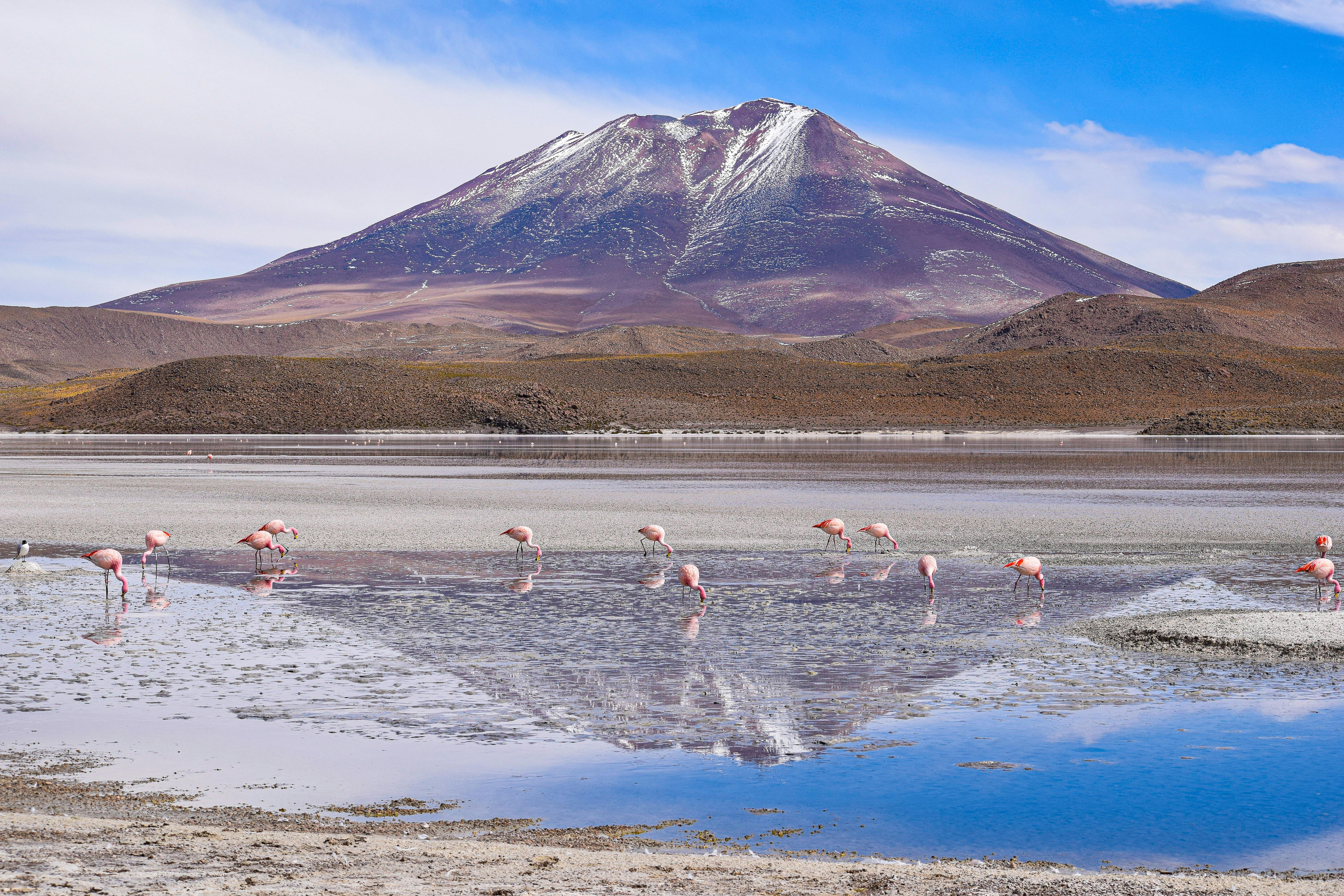Desiertos bolivianos